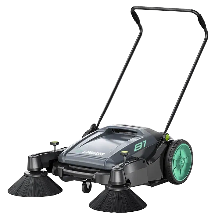 Сопровождаемые