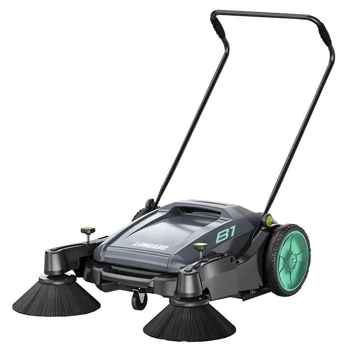 Сопровождаемые