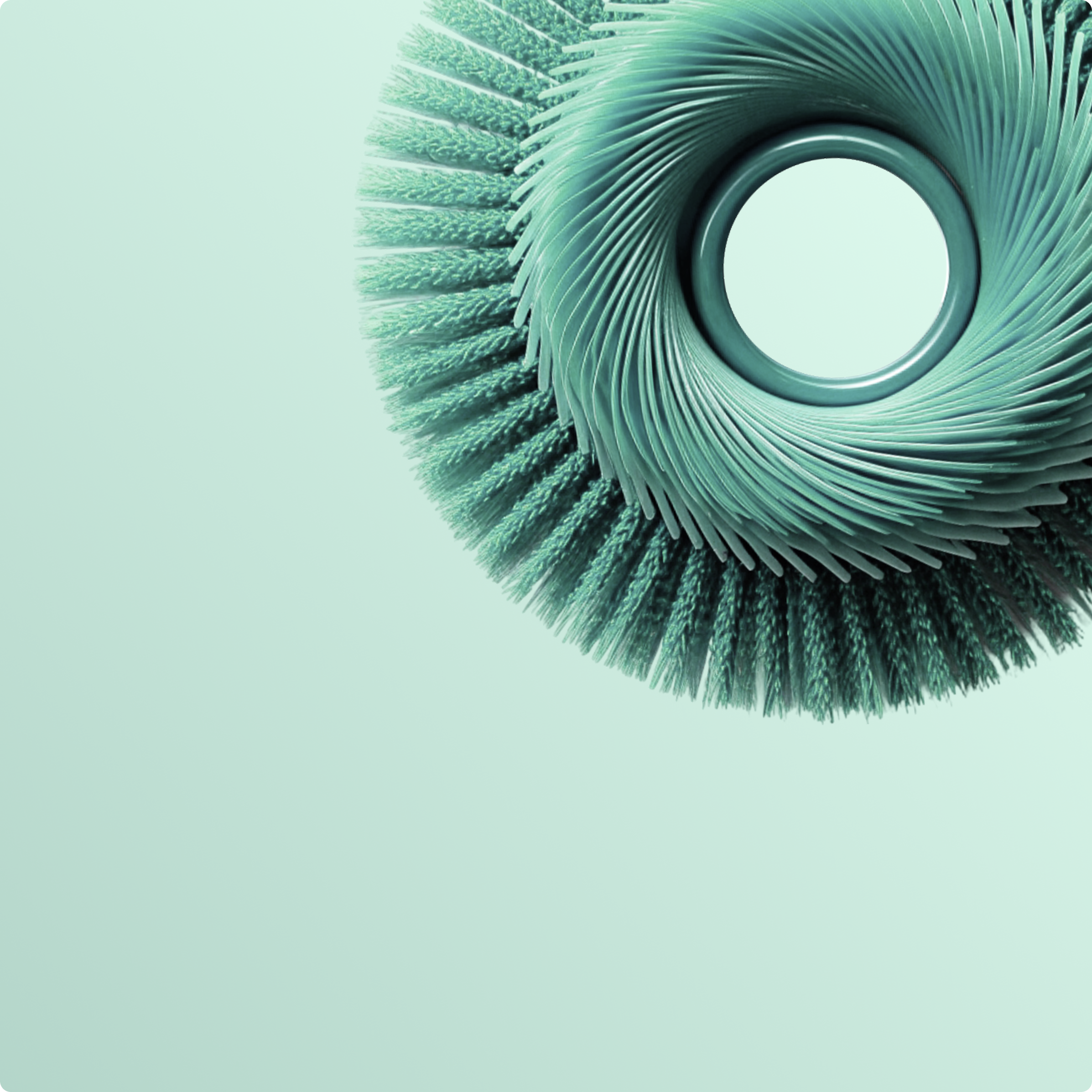 ЩЁТКА В ПОДАРОК